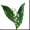 orhid-1.gif