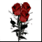 Букет красных роз: 3