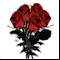Букет красных роз: 5