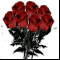 Букет красных роз: 7