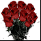 Букет красных роз: 9